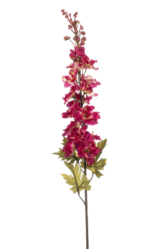 Delphinium artificiale - 1 stelo - Rosso fucsia