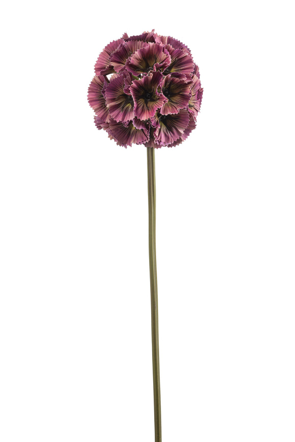Scabiosa artificiale - 1 stelo - Rosso fucsia