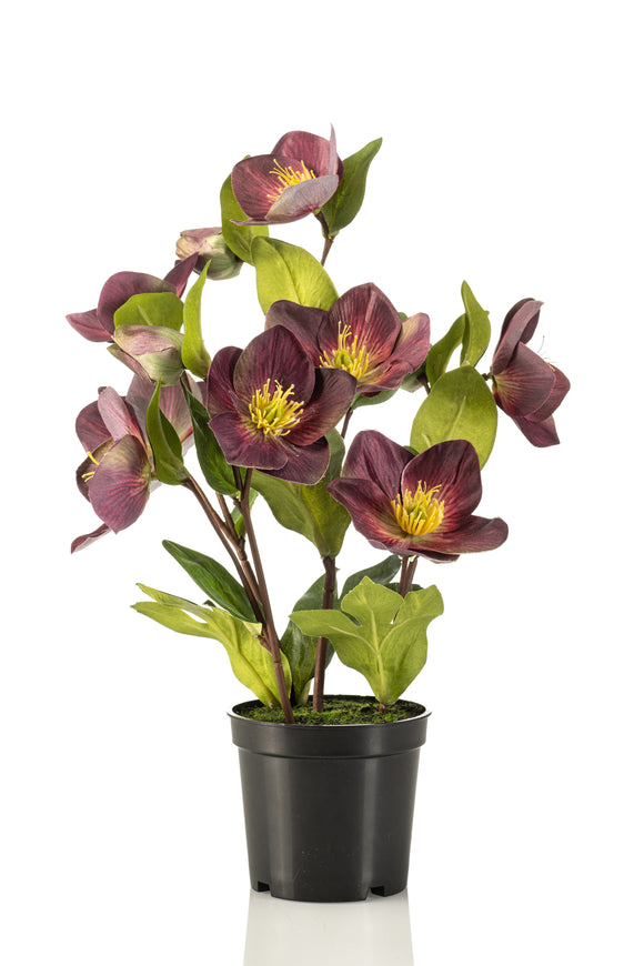 Hellébores artificielles - 1 pot - Violet
