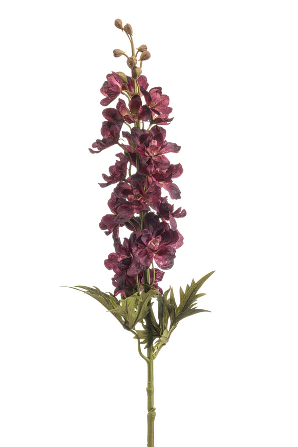 Delphinium artificiale - 1 stelo - Bordeaux