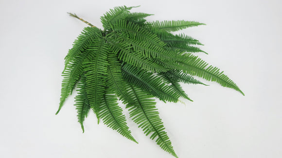 Mountain Fern preserved Earth Matters - 1 bunch - Green 700