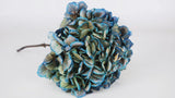 Hortensia séchée - 1 tête - Bleu
