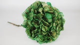 Hortensia séchée - 1 tête - Vert