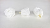 Roses stabilisées Kiara 5 cm - 8 têtes - Pure white