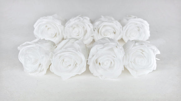 Roses stabilisées Kiara 5 cm - 8 têtes - Pure white