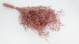 Limonium seco - 1 manojo XL - rosa vintage