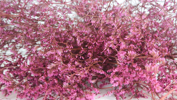 Limonium essiccato - 1 mazzo XL - rosa vintage