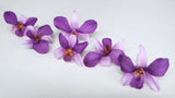 Orchidee Dendrobium Sonia konserviert Earth Matters - 6 Köpfe - Purple 400