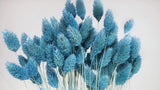 Phalaris séchés - 1 botte - Baby blue