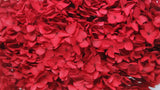 Hortensia stabilisé Anna - 1 tête - Rouge