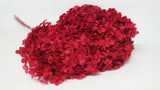 Hortensia stabilisé Anna - 1 tête - Rouge