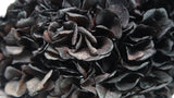 Hortensia stabilisé Extra - 1 tête - Noir