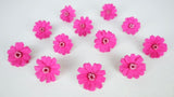 Zinnia preserved Earth Matters - 12 heads - Esprit pink 162