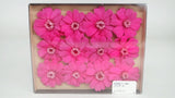 Zinnia preserved Earth Matters - 12 heads - Esprit pink 162