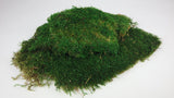 Lappenmoos konserviert - 500 g - Grün