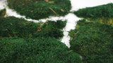 Flat moss preserved - 500 g - Darkgreen